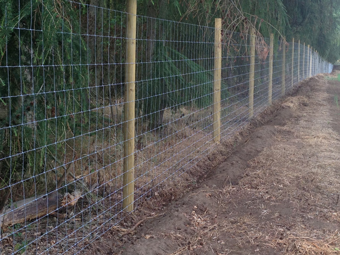 High Tensile Sheep Fence