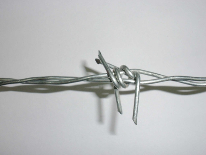 Galvanized Barb Iron Wire