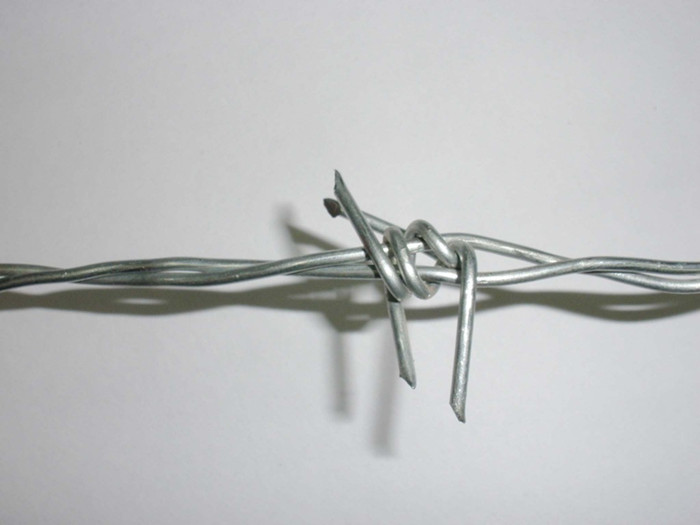 Galvanized Barbed Wire 