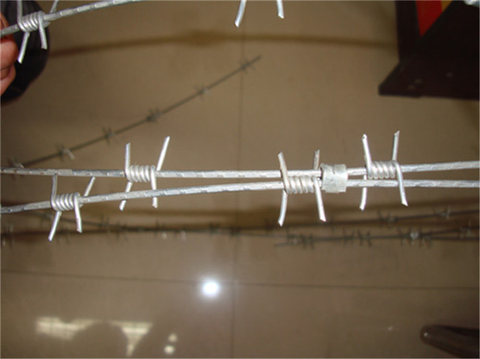 Electro Galvaniz Barbed Wire