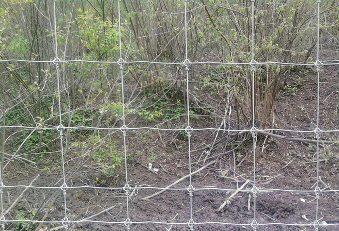 Galvanized Wire Field Fál 