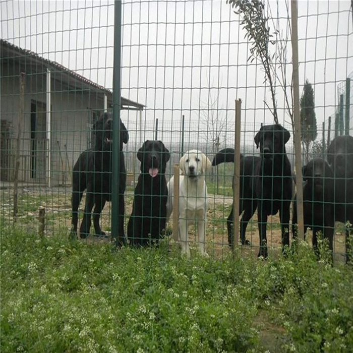 Safety Euro Fence 