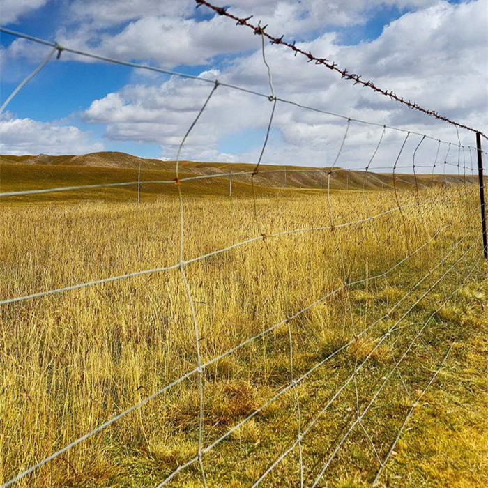 High reputation Barbed Wire Electric Fence - Hot-dip Galvanized Farm And Field Fence – Fuhai