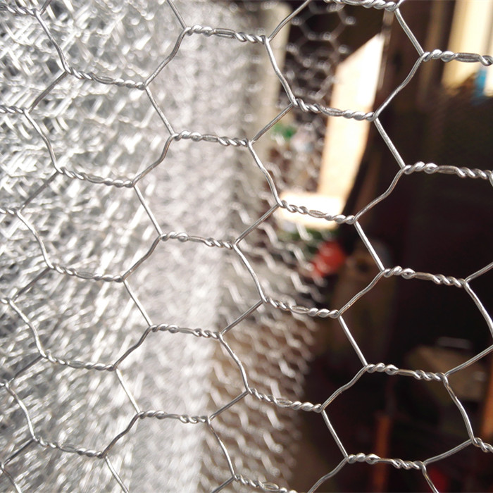 Hexagonal Wire Fencing