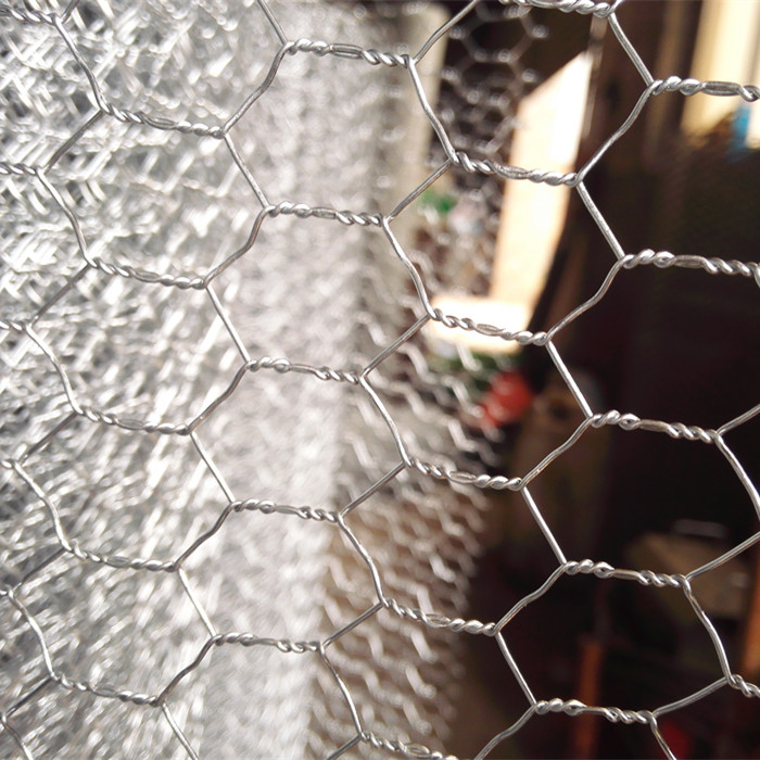 Galvanized Chicken Wire Mesh