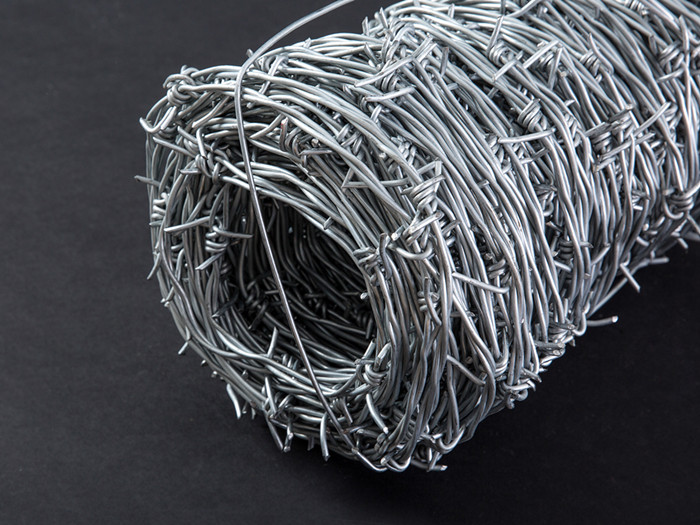 barbed wire Double Strand