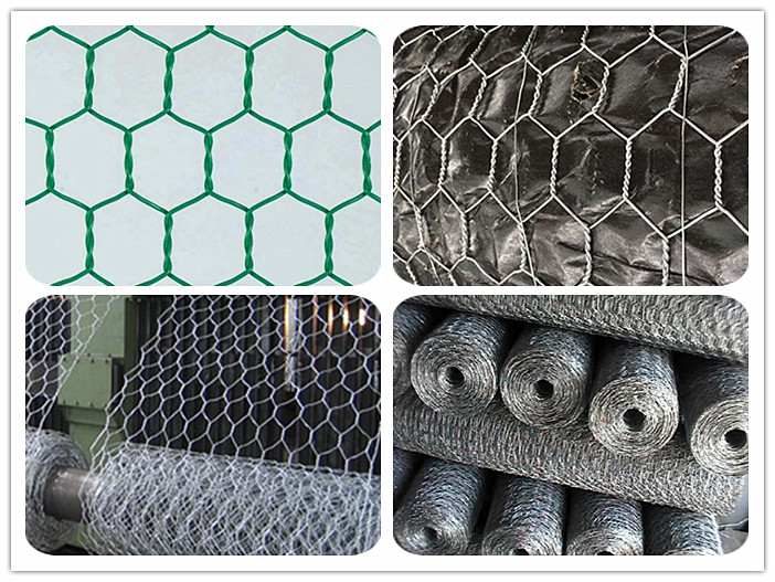 Hexagonal Wire Netting