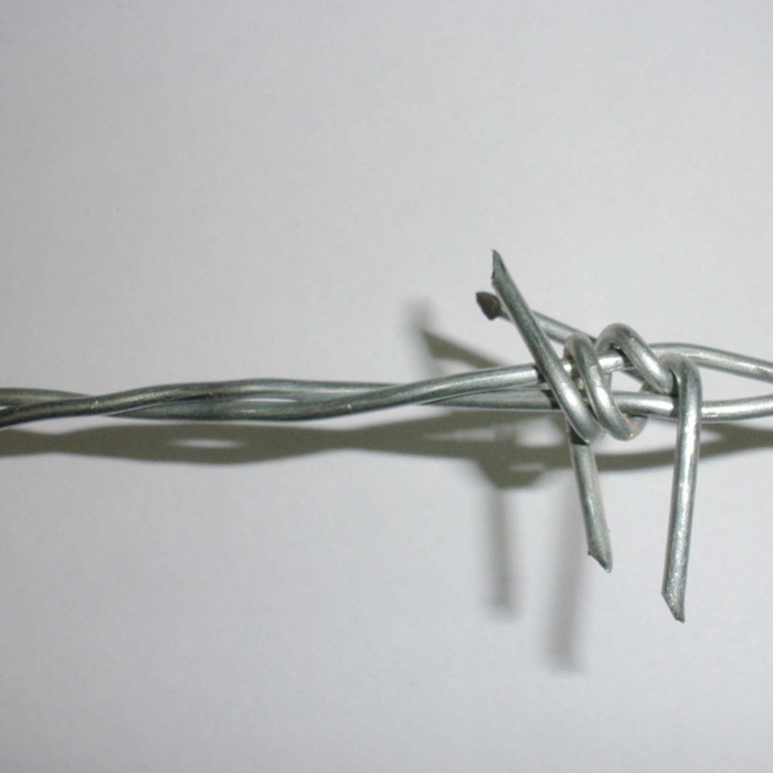 Wholesale Price Hot Dip Razor Wire - Galvanized Barbed Iron Wire Fencing – Fuhai
