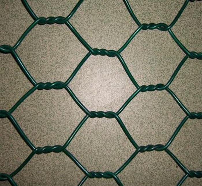 8 Year Exporter Double Twisted Hexagonal Wire Mesh - PVC Coated Chicken Coop Wire Mesh – Fuhai