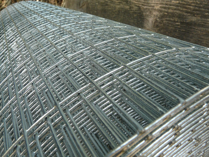 1/2 '' svařované Wire