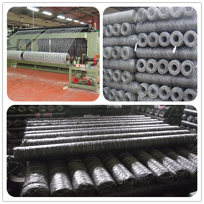 Galvanized Wire Netting
