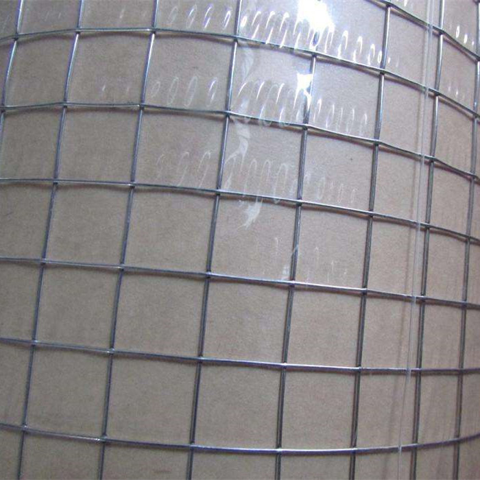 Short Lead Time for Pvc Coated Garden Twist Tie Wire Factory - 1” x 1”Galvanized Welded Wire Mesh Rolls – Fuhai
