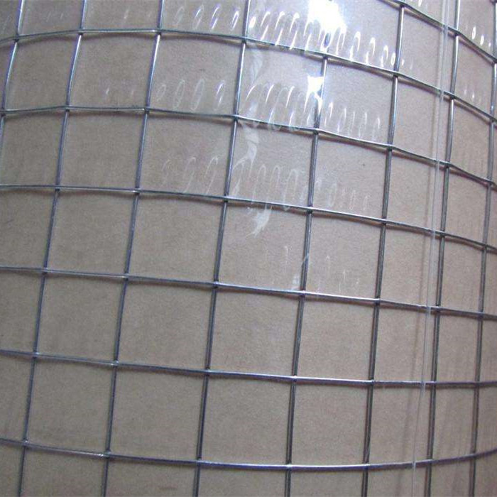 Welded Wire Mesh