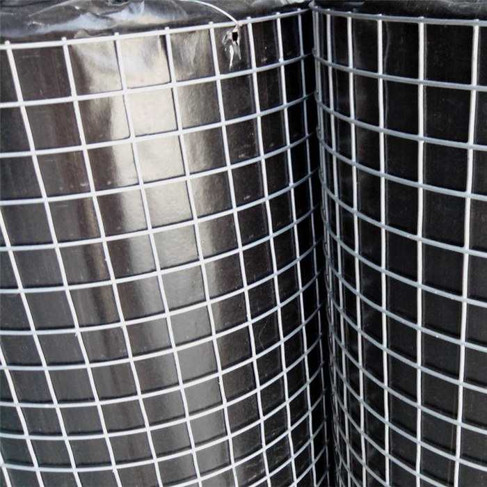 Europe style for Low Carbon Link Fence - Welded Wire Mesh-Hot-dip Galvanized After Welding – Fuhai