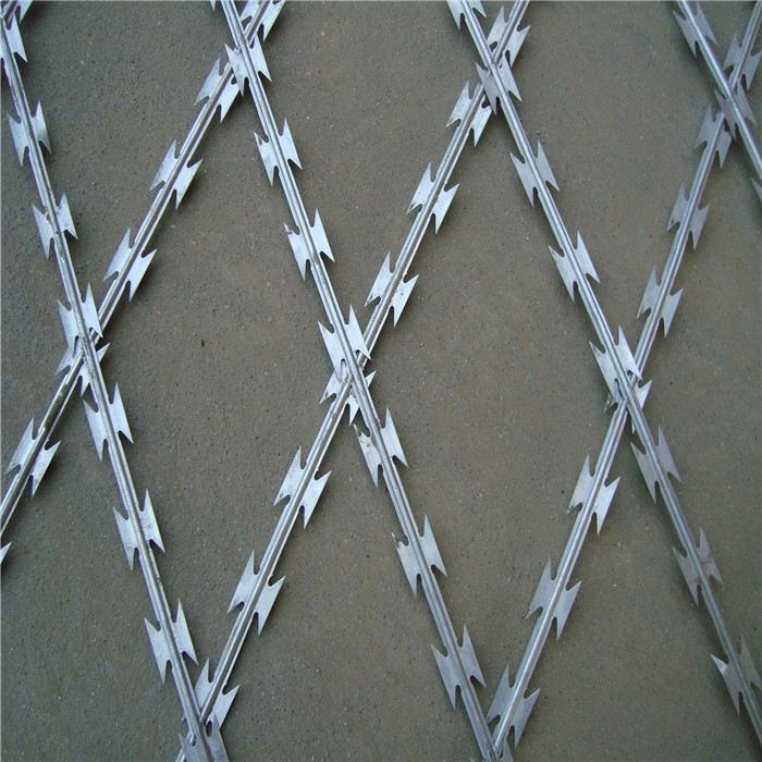 Best-Selling Portable Picket Fence -
 Galvanized And Plastic-sprayed Razor Wire – Fuhai