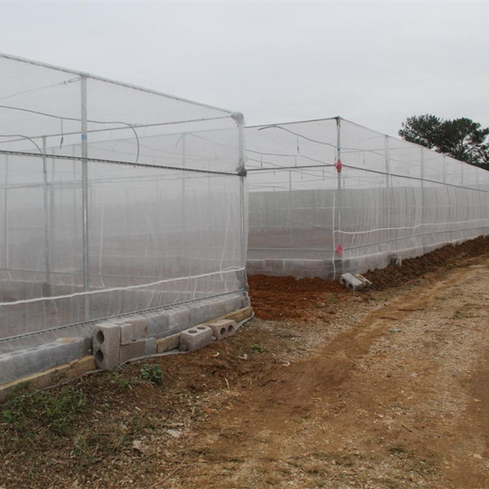 Fine Insekten Mesh gemaach geschoss