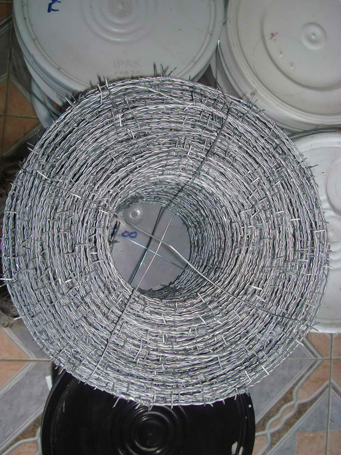 Galvanized Barbed Waya adaṣe