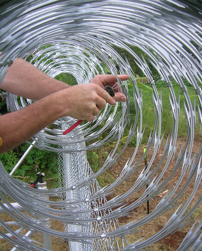 Concertina Lumo koyilo