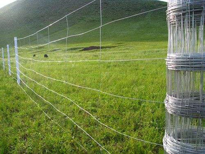 Galvanized Field Fence