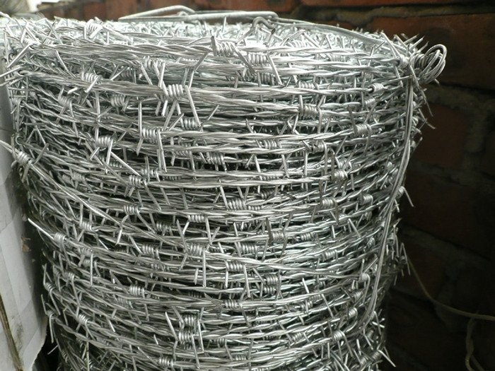 Barbed Iron Wire