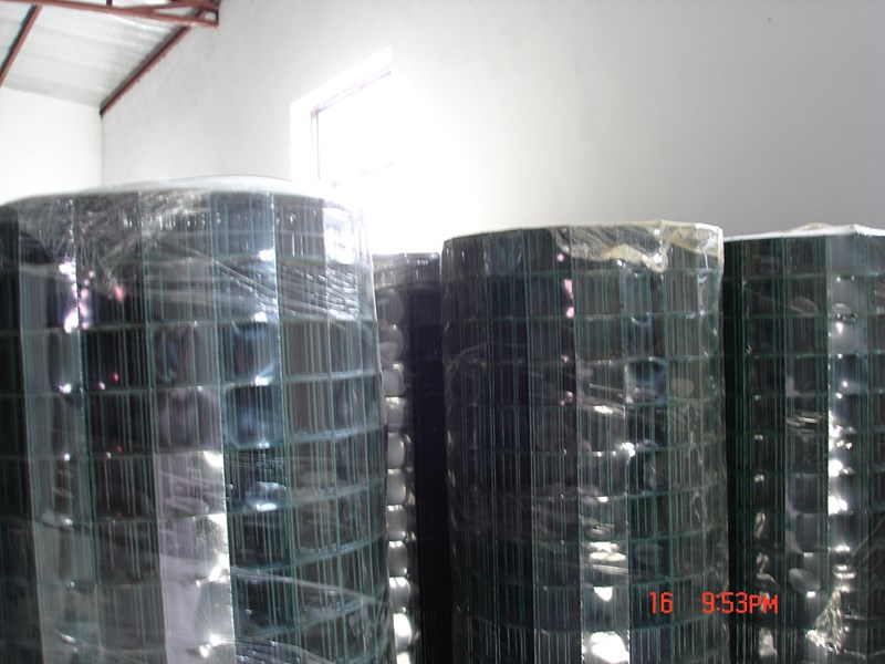 Welded Wire Mesh 