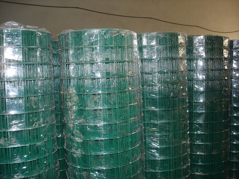 PVC Coated Welded Ntxaij 