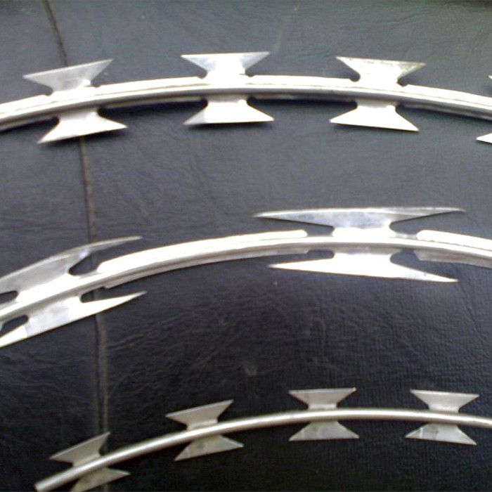 6e39ca91ea594bf31dd8a5043b