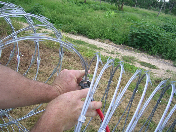 Concertina Razor Coils