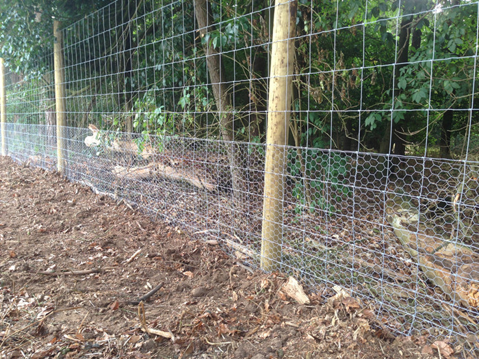 Deer Fence Wire