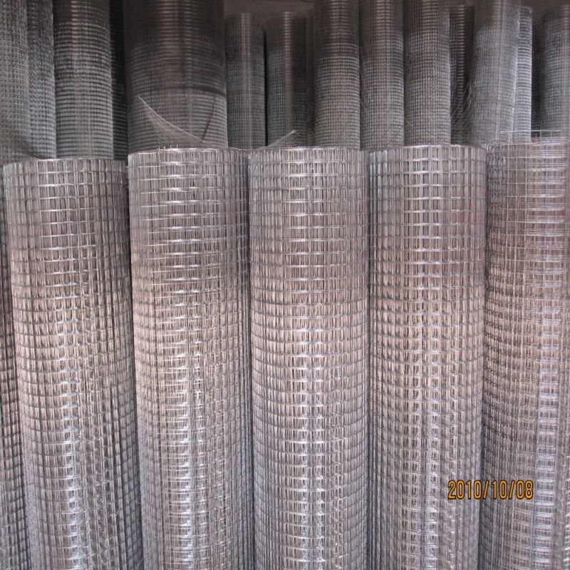 Welded Wire Mesh 