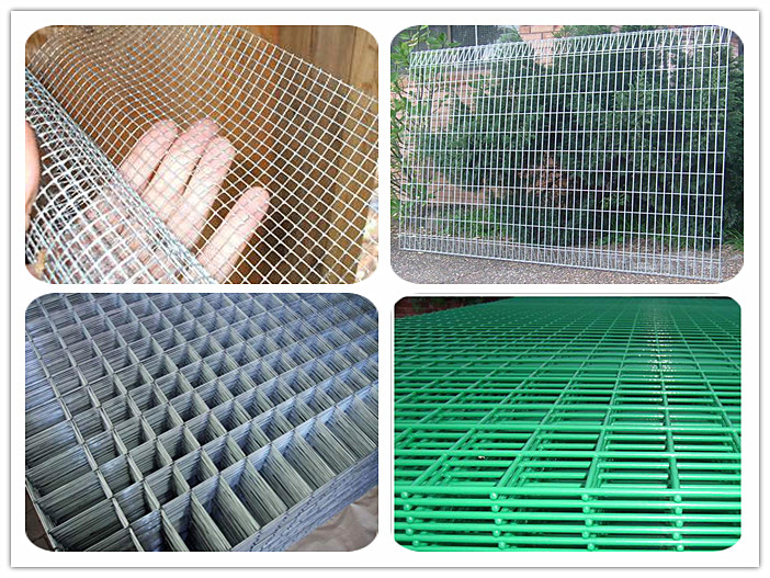 Welded Wire Mesh 