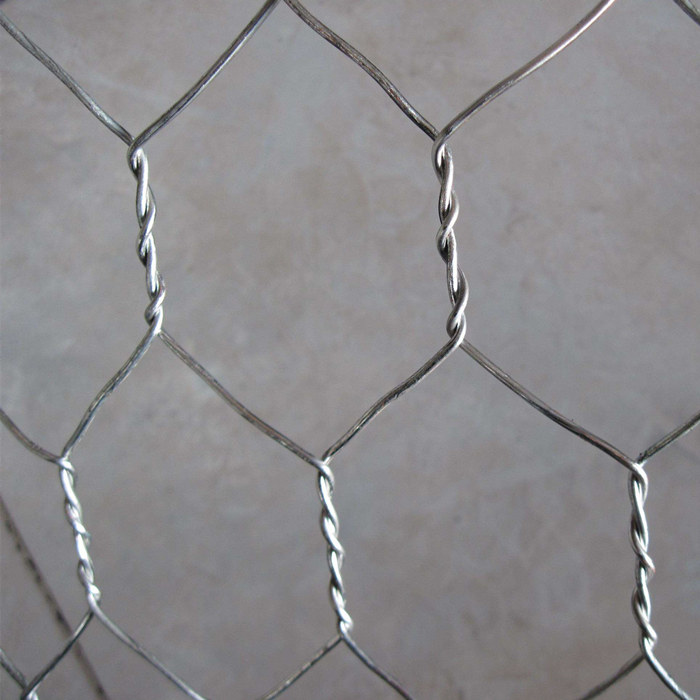 New Delivery for Iron Twisted Soft Wire - Galvanized Hexagonal Mesh Gabion Box – Fuhai