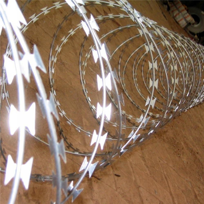 Galvanized concertina Wire