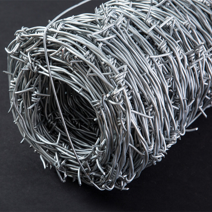 Chinese wholesale Best Price Field Fence - Galvanized Double Strand Barbed Wire Common Twist – Fuhai
