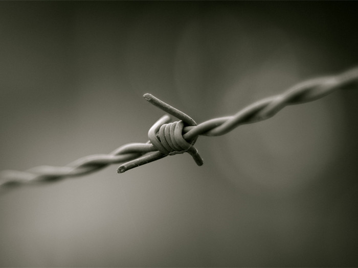 Barb Wire Fence 