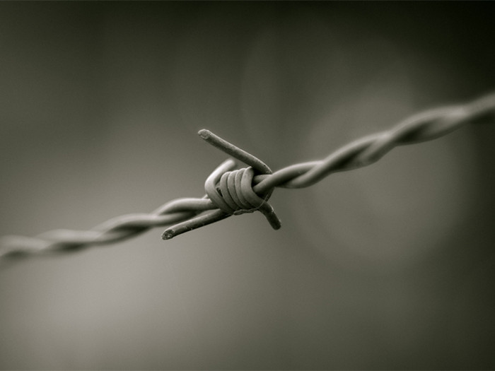 Barb Wire Fence