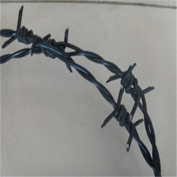 PVC Camera Barb Wire 