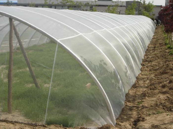 PE Insect Net