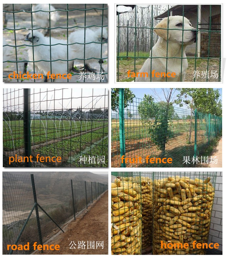 Holland Gandheng Wire Mesh Aplikasi 