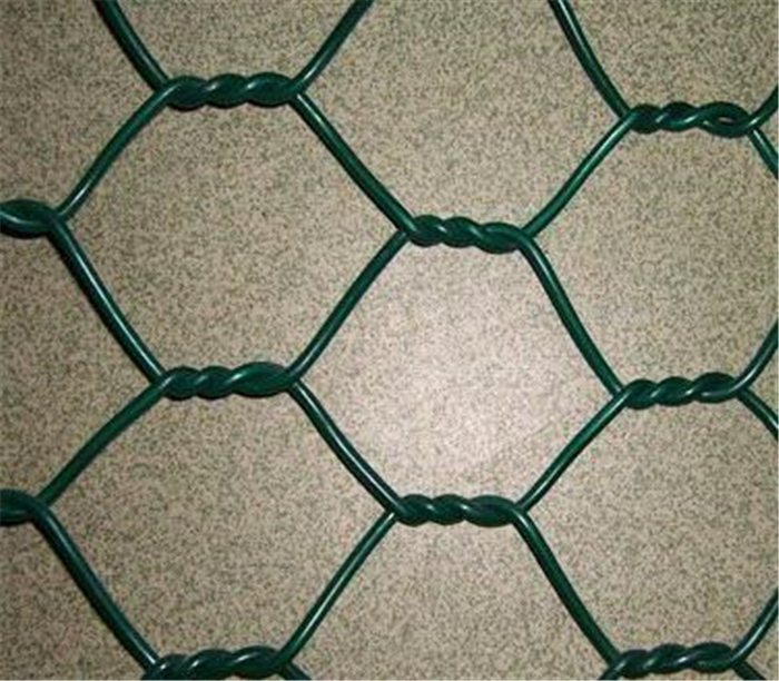 PVC Camera Chicken net