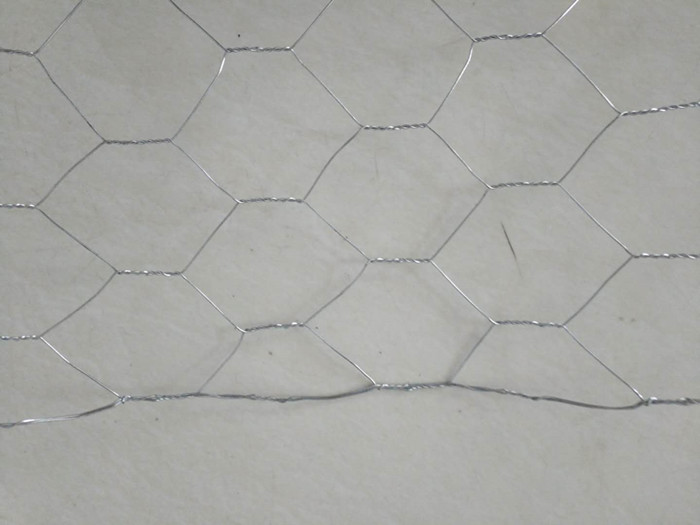 Galvanized Wire Hexagonal