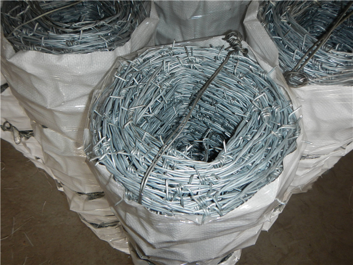 Galvanized Barbed Kawat 