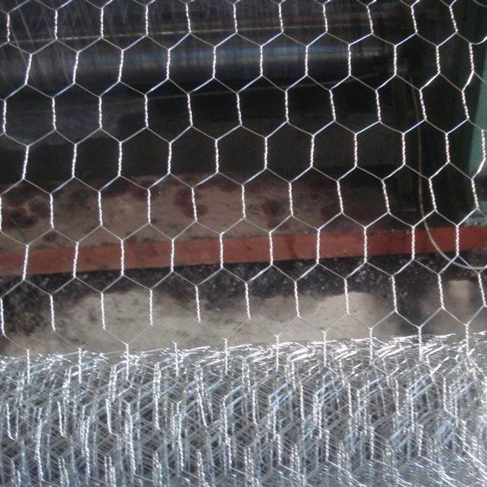 Electro Galvanized Hexagonal Wire Nettings