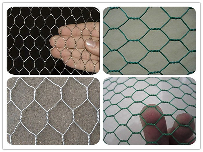 Hexagonal Wire Mesh 