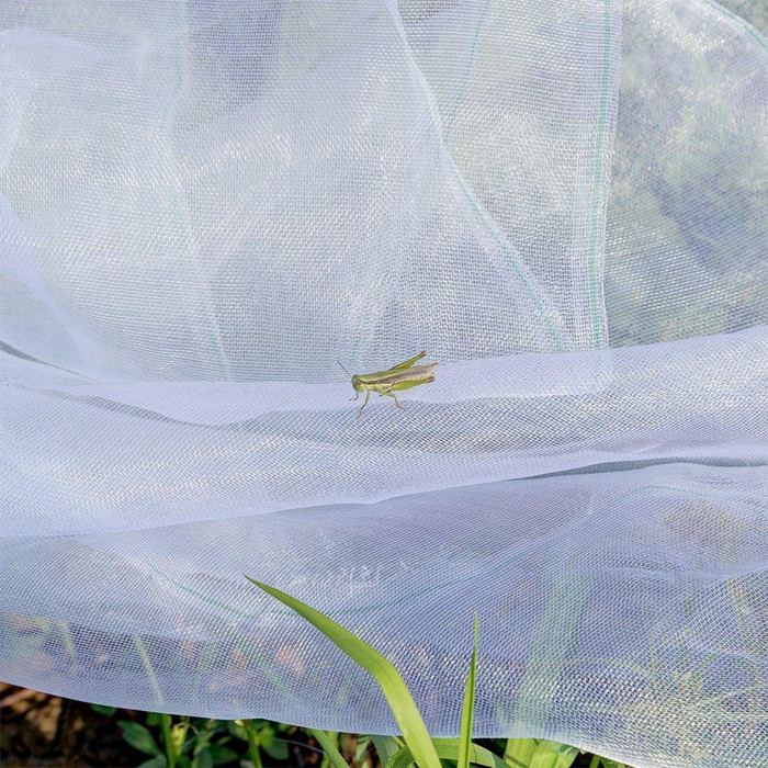 Insect Net malla 