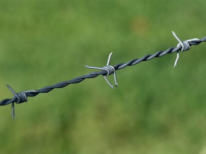 Barbed Wire Line 