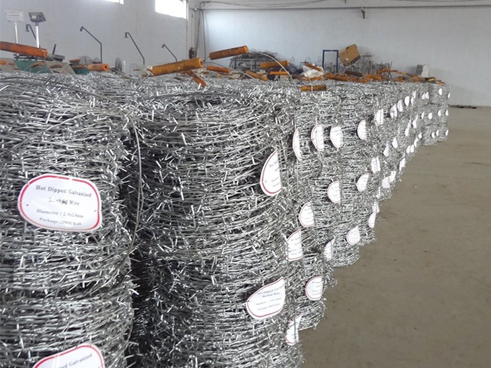Galvanized Barb Wire