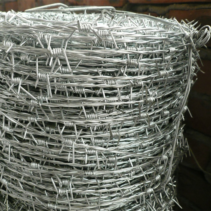 OEM China 8 Gauge Chain Link Fence - High Tensile Barbed Wire Double Strand Type – Fuhai