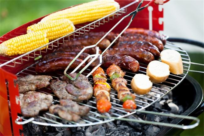 Galvanized BBQ Wire Netting