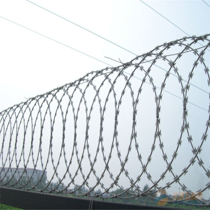 Cheapest PriceGalvanized Rebar Tying Wire - BTO-22 Hot-Dip Galvanized Razor Wire For Farm Protection – Fuhai